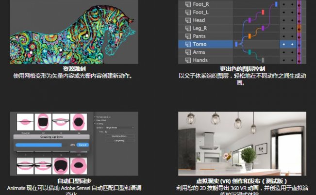 Adobe Animate CC 2019 19.2.1 Win中文破解版免费下载